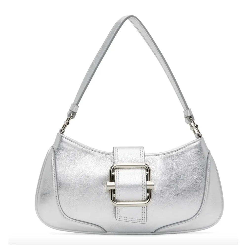 Silver Purse